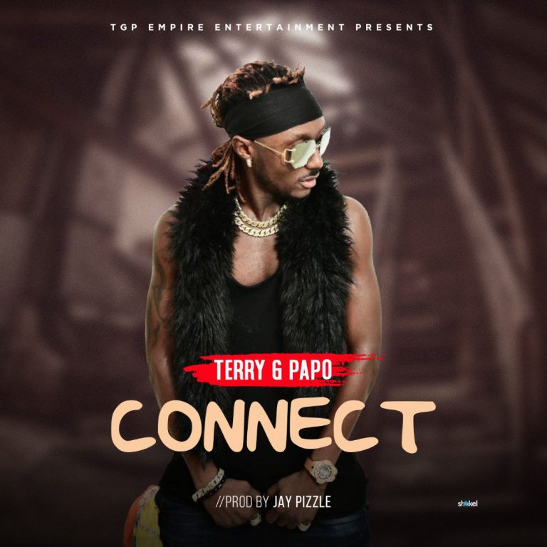 Terry G Papo – Connect