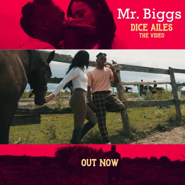 Dice Ailes – Mr Biggs Video