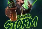Shatta Wale Storm