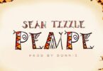 Sean Tizzle – Pempe