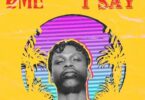 Fireboy DML – What If I Say