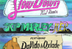 Skip Marley x H.E.R. - Slow Down ft. Davido x Oxlade