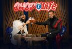 Flavour Ft. Phyno - Chop Life