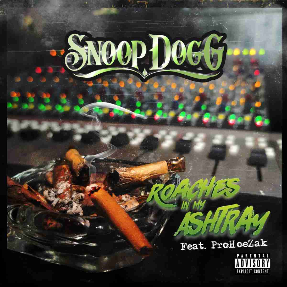 Snoop Dogg - Roaches In My Ashtray Ft. ProHoeZak