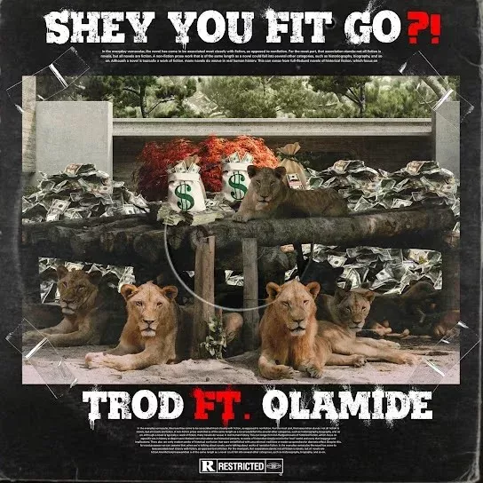 Trod - Shey You Fit Go? Ft. Olamide