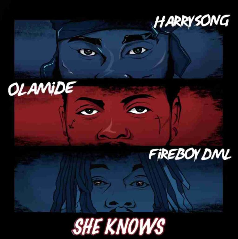 Harrysong - She Knows Ft. Fireboy DML x Olamide