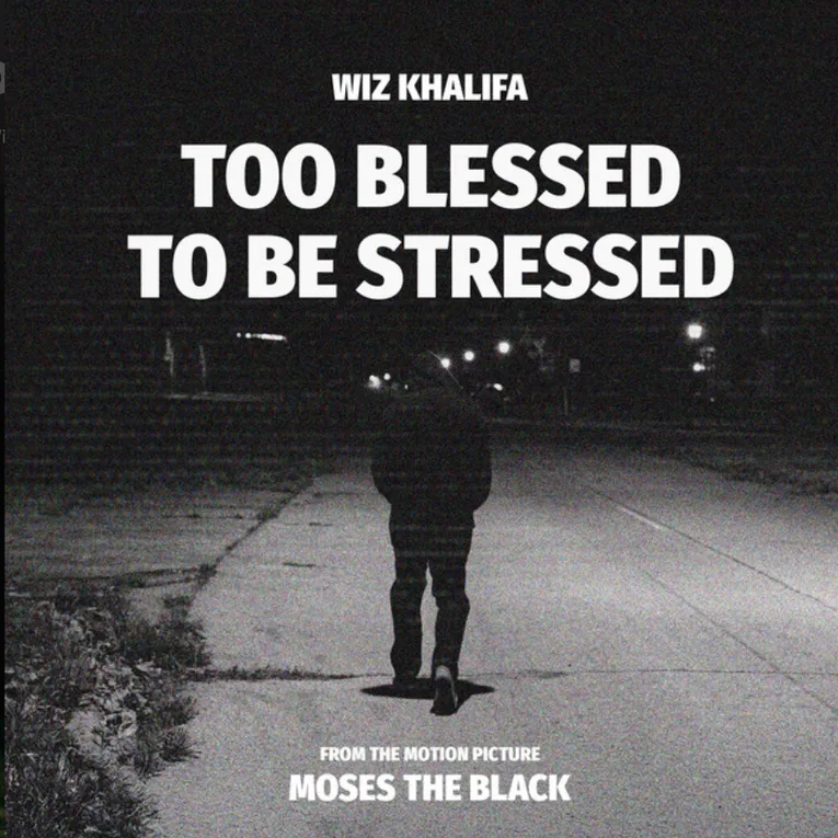 Wiz Khalifa - Too Blessed To Be Stressed